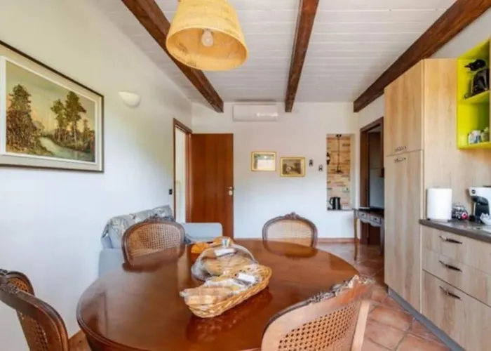 Gallina Casa de hóspedes Barbaresco